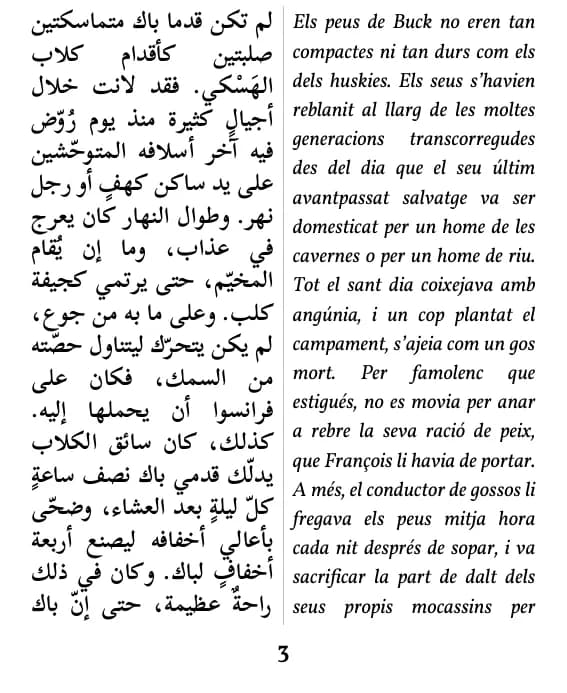 Pàgina d'exemple (doble columna)