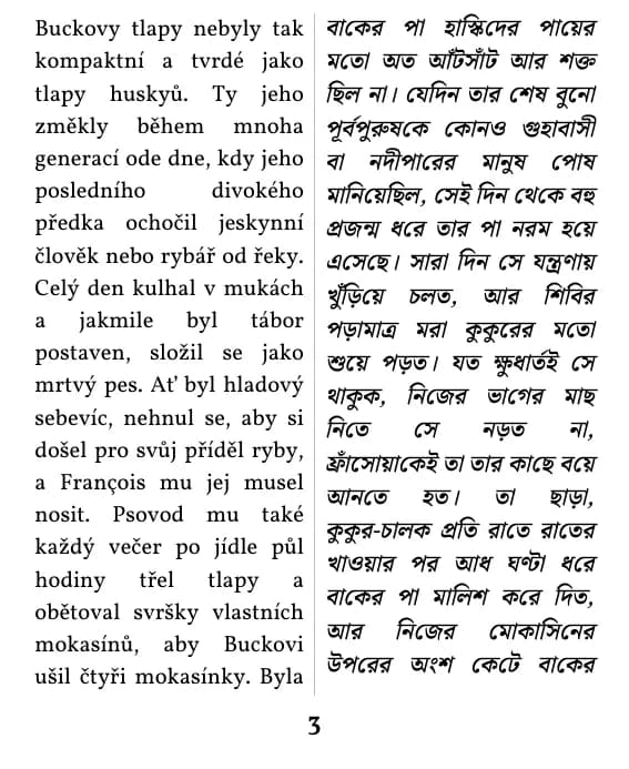 ডাবল কলাম লেআউটের একটি পৃষ্ঠা