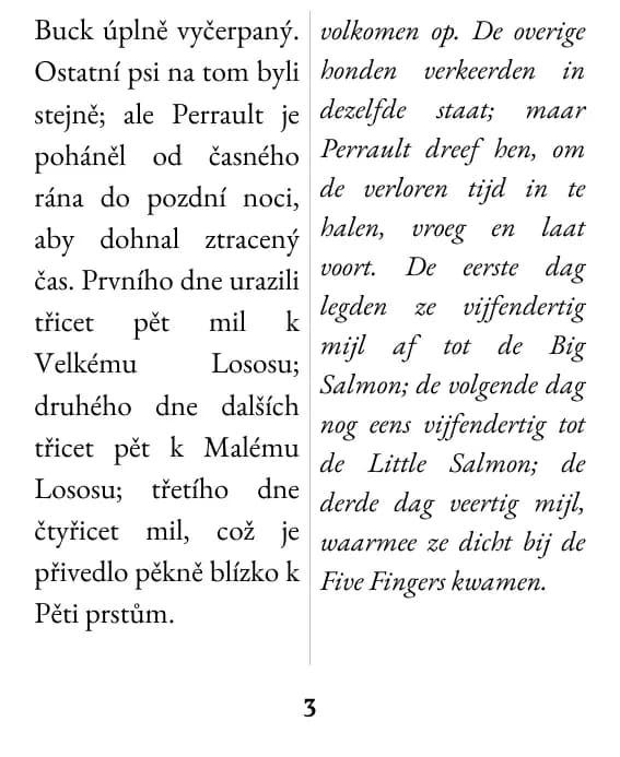 Voorbeeldpagina (dubbele kolom)