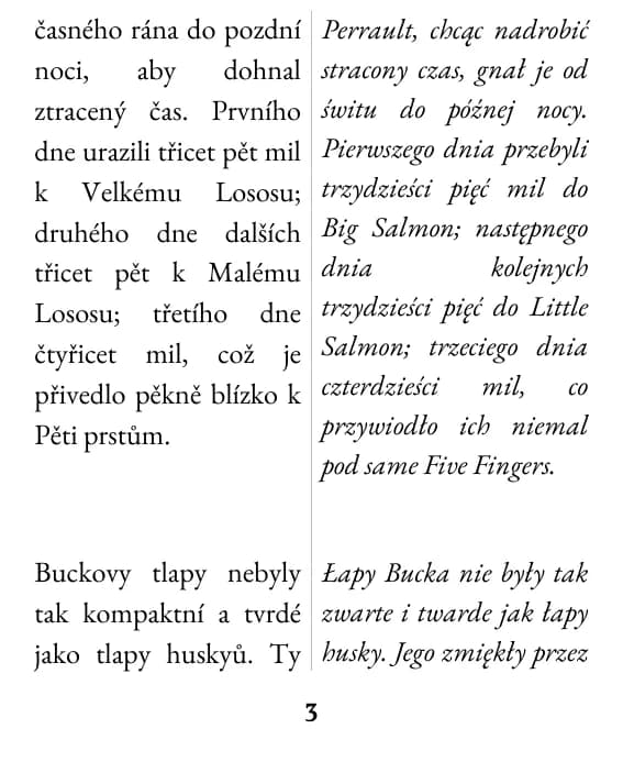 Przykładowa strona, układ: podwójna kolumna