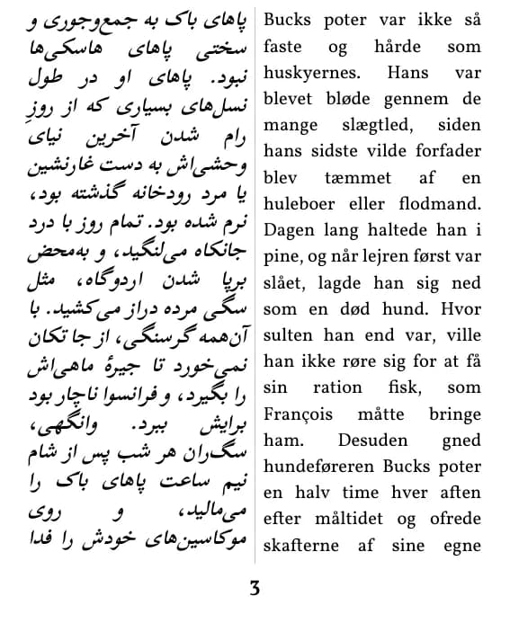 یک صفحه با صفحه‌آرایی ستون دوتایی
