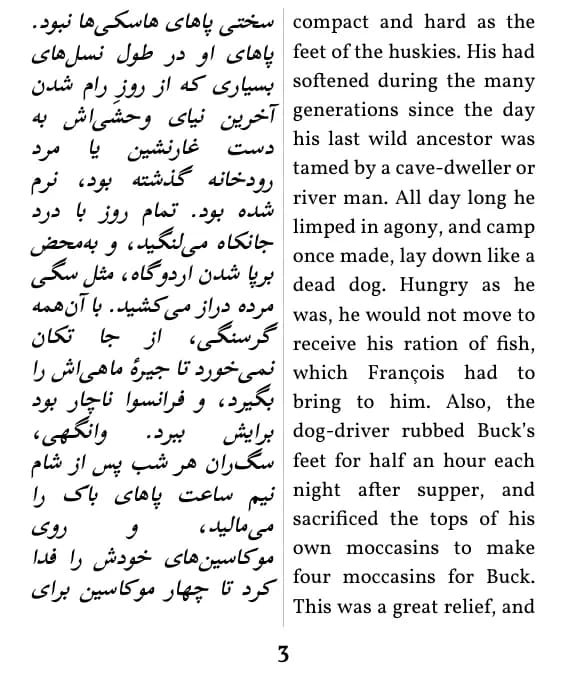 یک صفحه با صفحه‌آرایی ستون دوتایی
