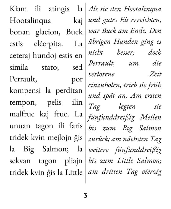 Eine Seite im Layout „Doppelspalte“