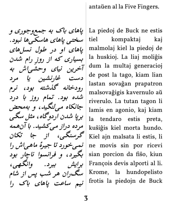 یک صفحه با صفحه‌آرایی ستون دوتایی