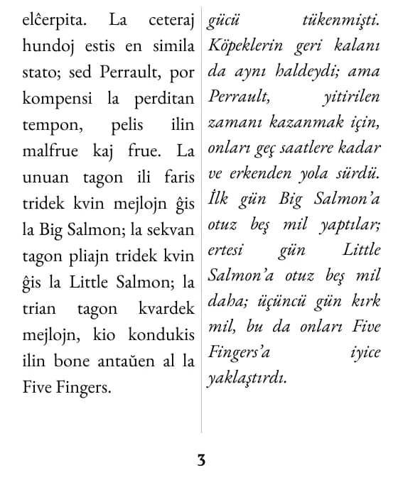 çift sütun düzeninde bir sayfa