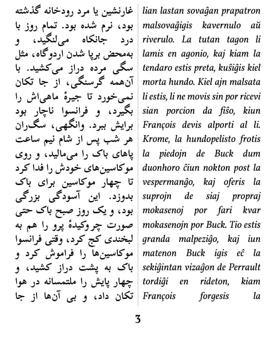 Paĝo en la aranĝo „duobla kolumno”