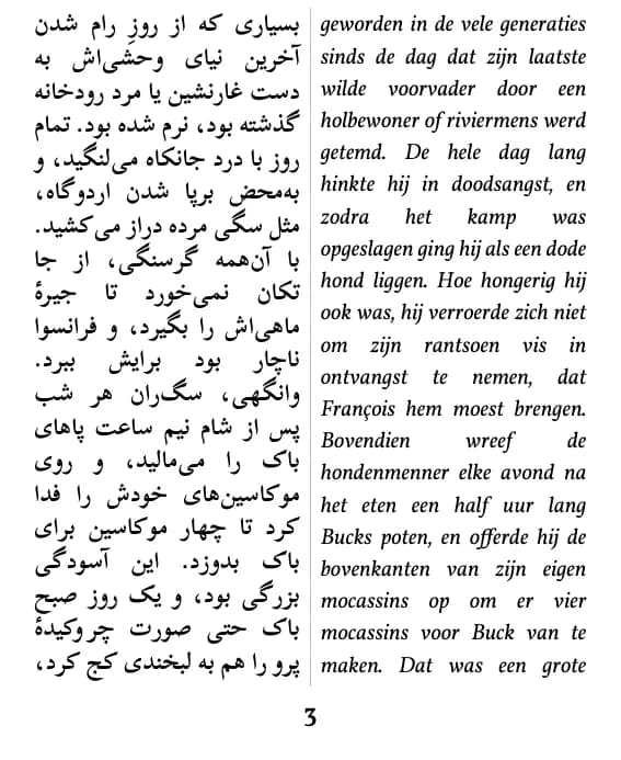 Voorbeeldpagina (dubbele kolom)
