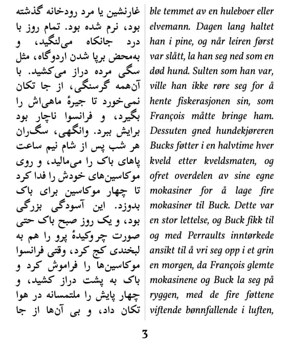 Eksempelside (dobbel kolonne)