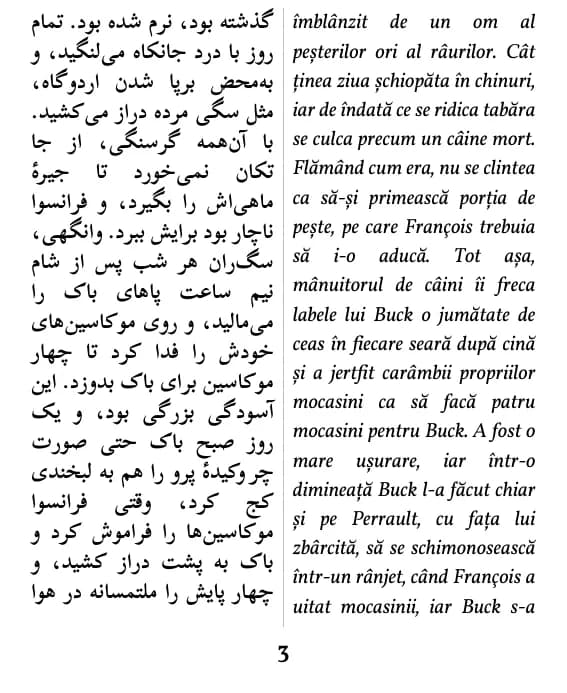Exemplu de pagină (coloană dublă)