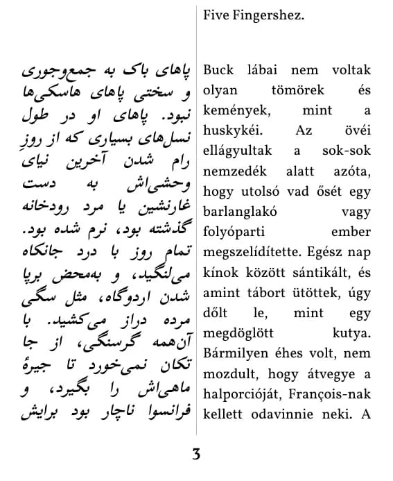 یک صفحه با صفحه‌آرایی ستون دوتایی