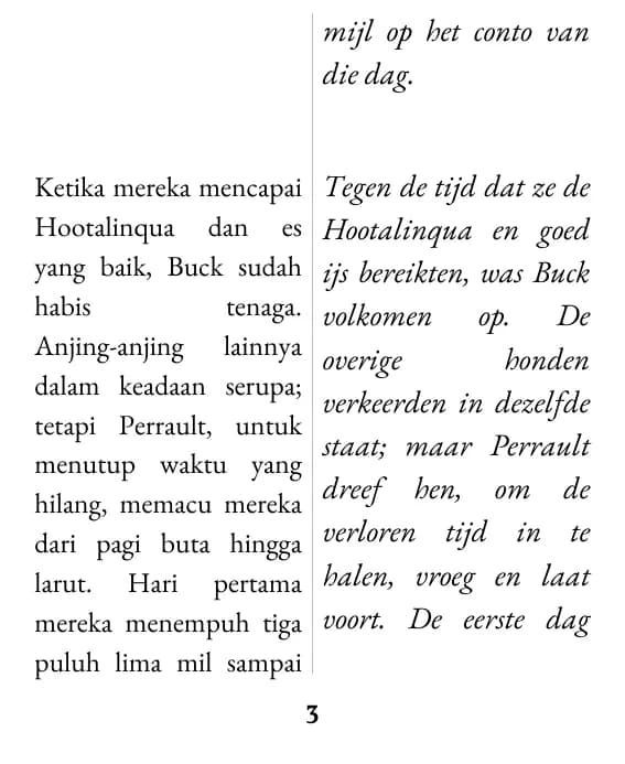 Voorbeeldpagina (dubbele kolom)