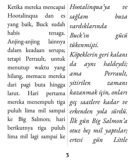çift sütun düzeninde bir sayfa