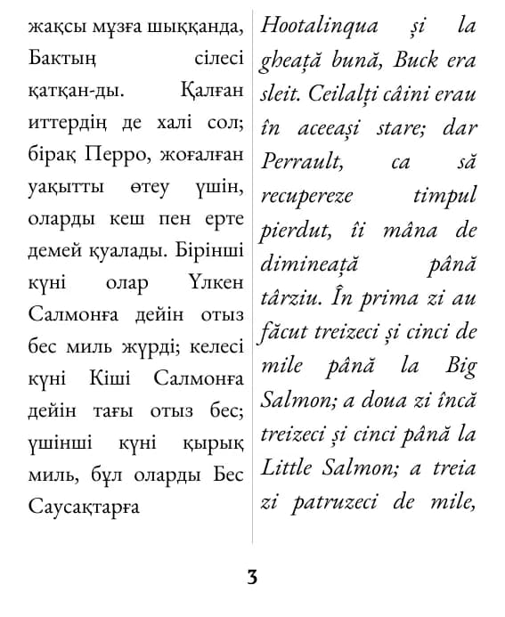 Exemplu de pagină (coloană dublă)