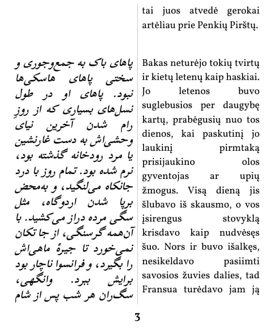 یک صفحه با صفحه‌آرایی ستون دوتایی