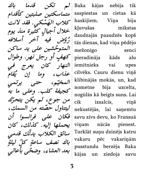 صفحة بتنسيق «عمودان متوازيان»