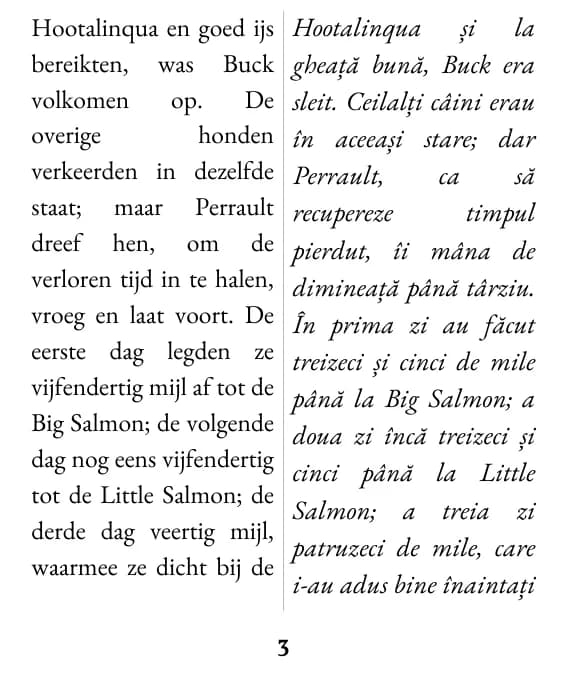 Exemplu de pagină (coloană dublă)