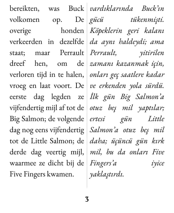çift sütun düzeninde bir sayfa