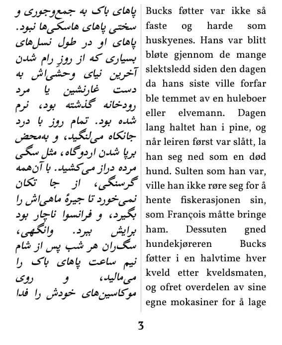 یک صفحه با صفحه‌آرایی ستون دوتایی