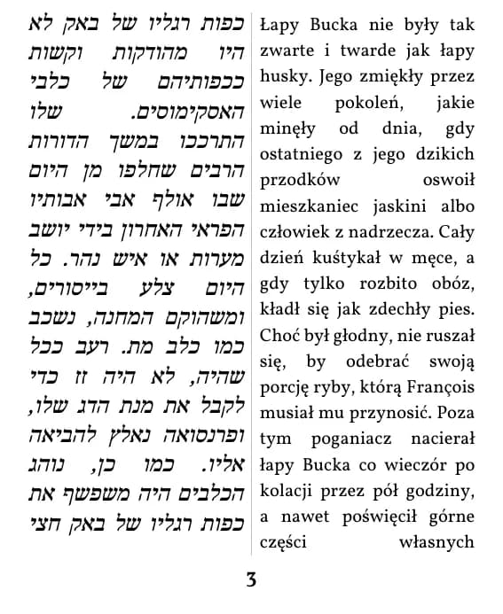 עמוד בתצוגת עמודה כפולה