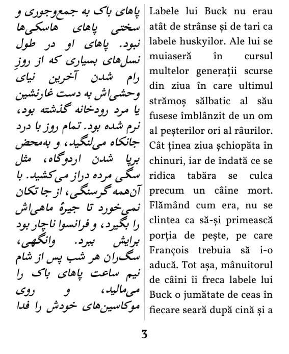 یک صفحه با صفحه‌آرایی ستون دوتایی