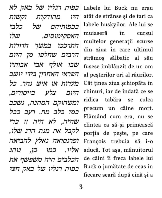 עמוד בתצוגת עמודה כפולה