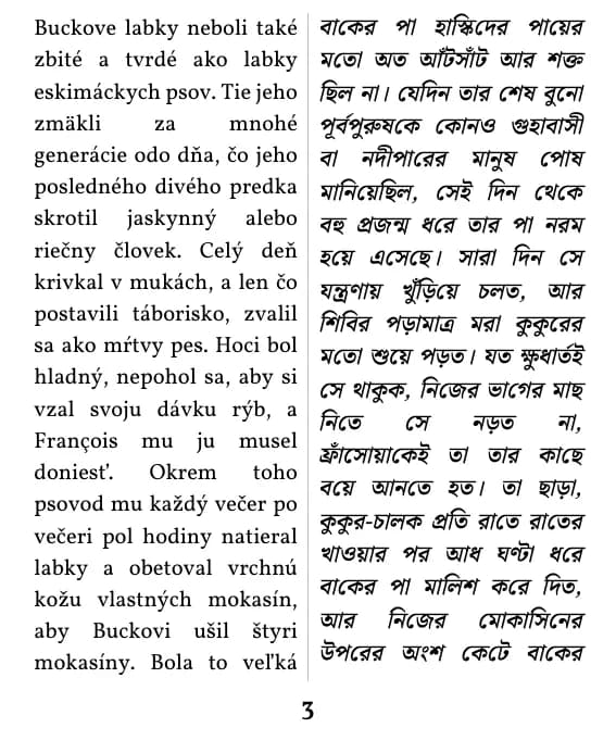 ডাবল কলাম লেআউটের একটি পৃষ্ঠা