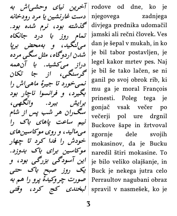 یک صفحه با صفحه‌آرایی ستون دوتایی