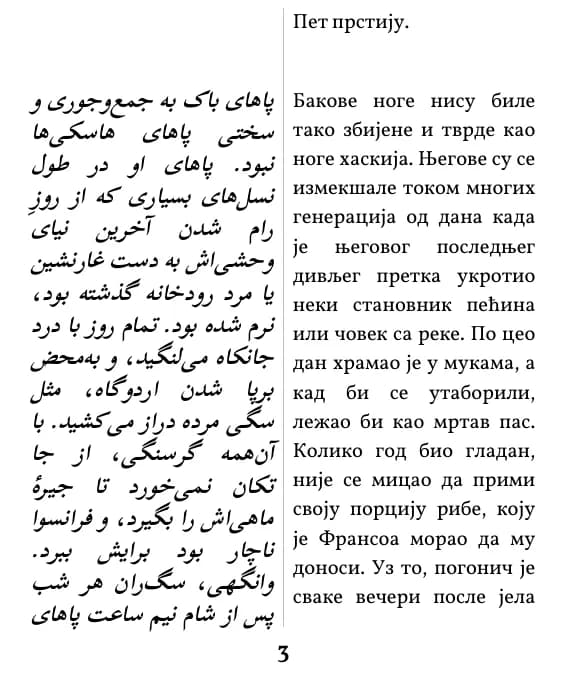 یک صفحه با صفحه‌آرایی ستون دوتایی
