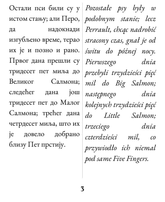 Przykładowa strona, układ: podwójna kolumna