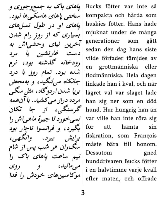 یک صفحه با صفحه‌آرایی ستون دوتایی