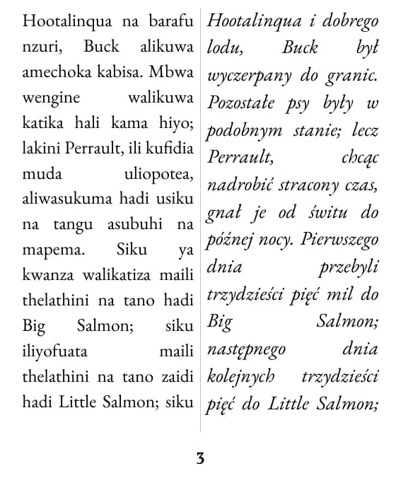 Przykładowa strona, układ: podwójna kolumna
