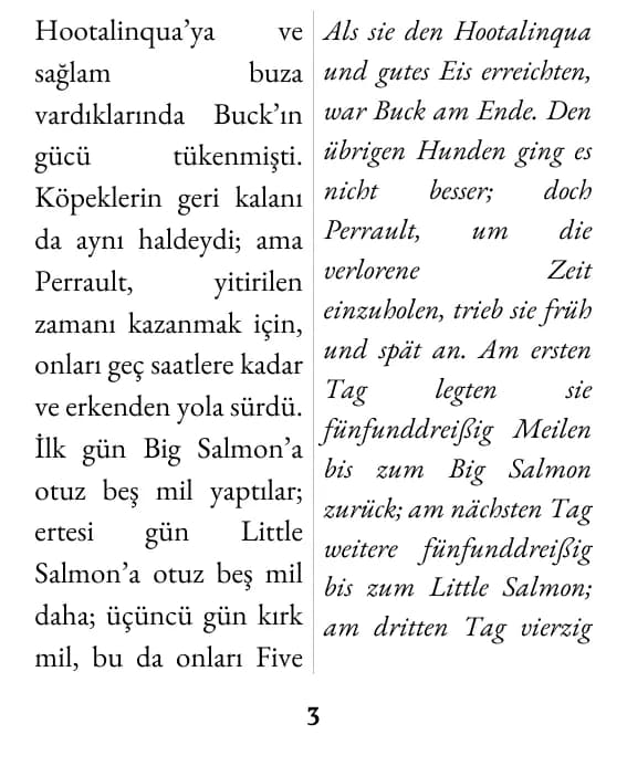 Eine Seite im Layout „Doppelspalte“