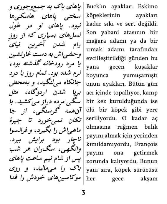 یک صفحه با صفحه‌آرایی ستون دوتایی