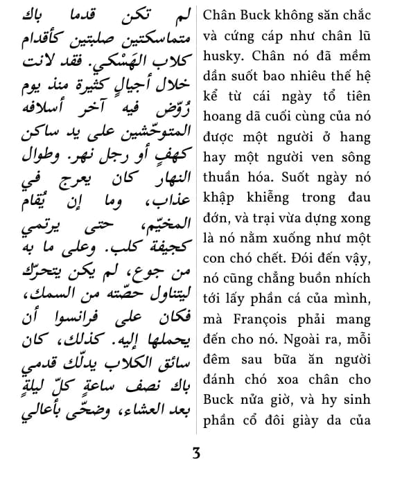 صفحة بتنسيق «عمودان متوازيان»