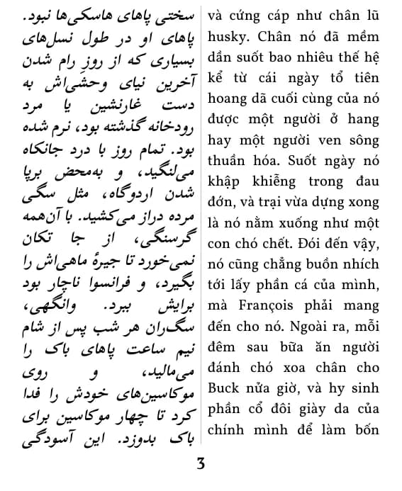 یک صفحه با صفحه‌آرایی ستون دوتایی