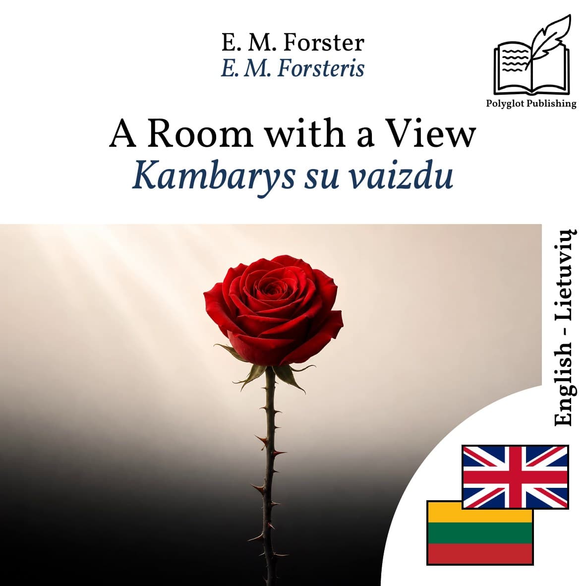 Kambarys su vaizdu