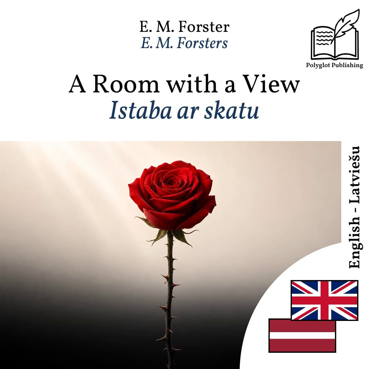 Istaba ar skatu