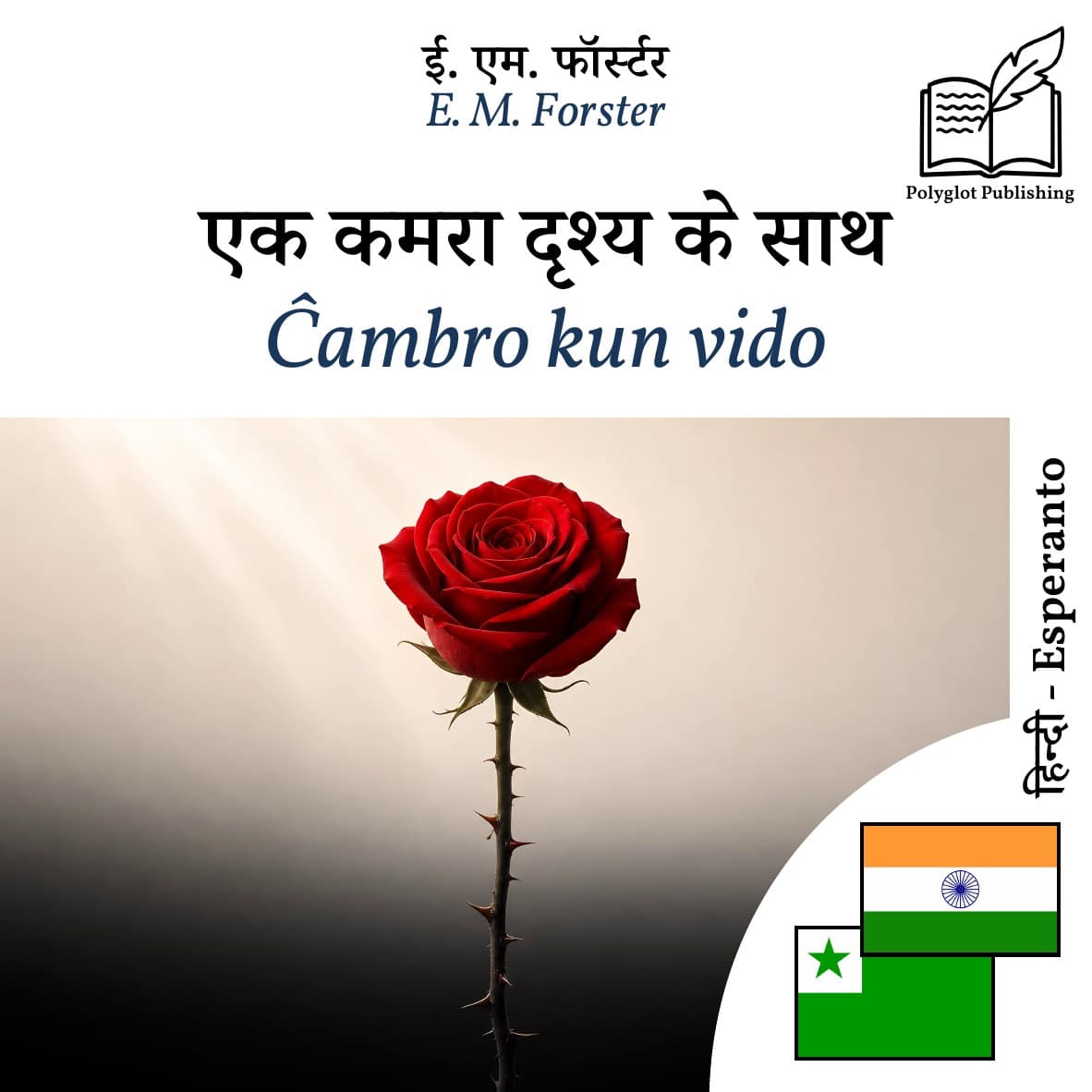 Ĉambro kun vido
