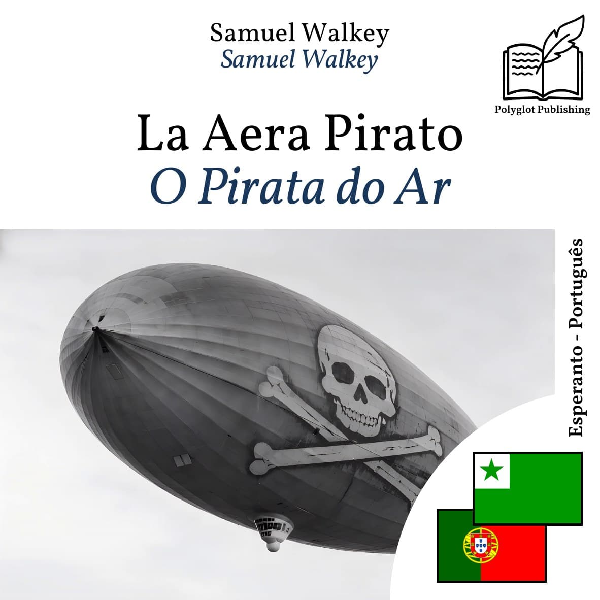 O Pirata do Ar