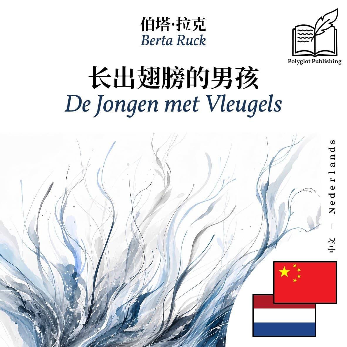 De Jongen met Vleugels